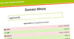 php-domain-sorgulama-scripti
